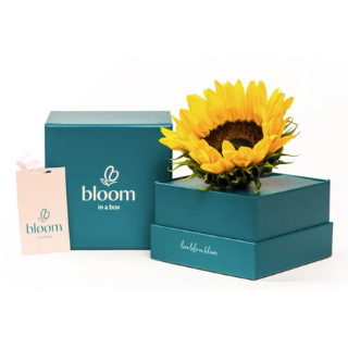 Bloom In A Box - The Sunflower